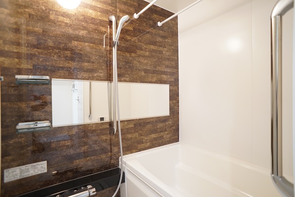 ＡＬＶＩＮＥＳＳ　Ｄ　Ｋｏｍａｇｏｍｅ 101号-6