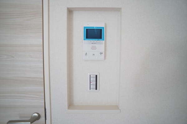 ＡＬＶＩＮＥＳＳ　Ｄ　Ｋｏｍａｇｏｍｅ 101号-10