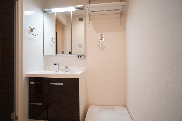 ALVINESS D Komagome 402号-6