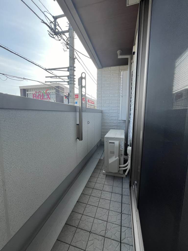 アストロフィラ 203号-9