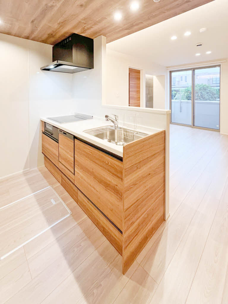 アルビオン　コート 101号-3