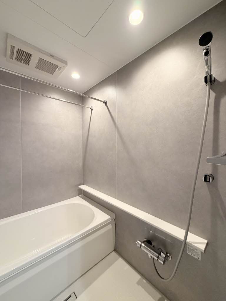 ラピスラズリ 205号-9