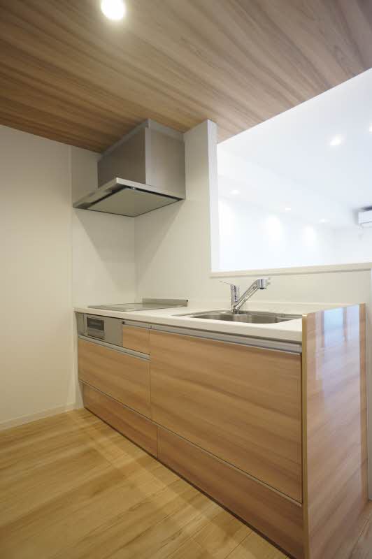 Ｍａｉｓｏｎ　Ｌｉｓ 201号-5