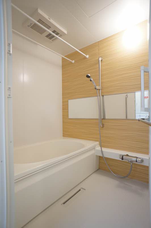 Ｍａｉｓｏｎ　Ｌｉｓ 201号-9