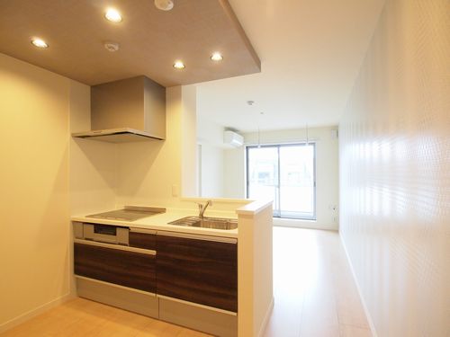 マストライフ北馬込 207号-2