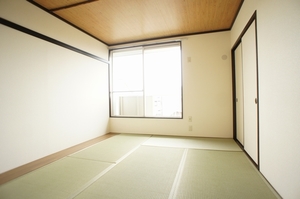 FILL IN Ⅱ 205号-6