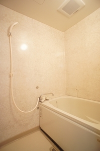 アムール・ヒルカワ 105号-11