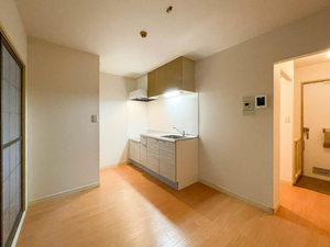 サンテラス石井 203号-2