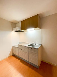 サンテラス石井 203号-3