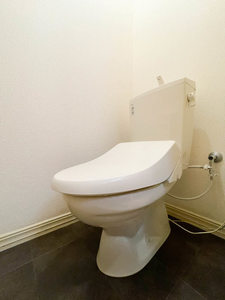 サンテラス石井 203号-11