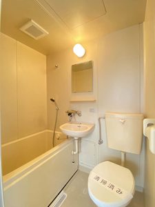 ルミエール 203号-8