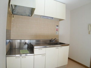 パルメゾン 103号-6