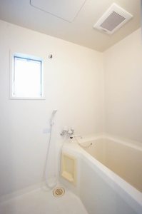 ビューテラス金子 101号-4