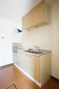 ウィルハイム 106号-4