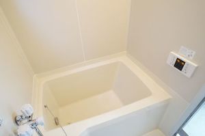 サンテラス中原 101号-5