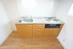 コーポナガシマ 206号-11