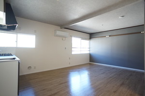 エクセルひかり 201号-3