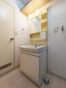 カメリア　Ｂ 102号-9