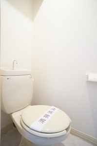 ドゥ・ルミエール 102号-10