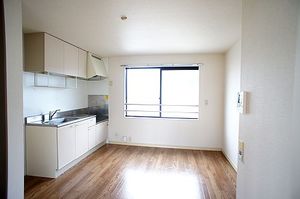 キャッスル山金 201号-4