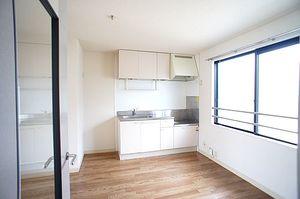 キャッスル山金 201号-5