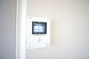 キャッスル山金 201号-6