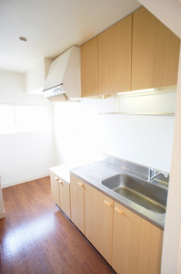 ドミール天台 205号-6