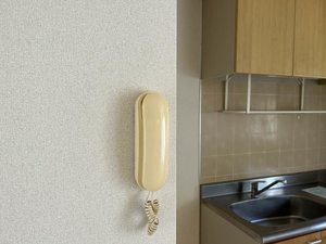 ルミエール　Ａ 202号-10