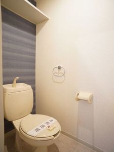 ミドリパークハイツ 201号-11