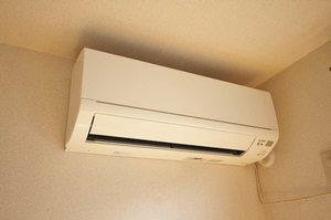ヴィオラ 101号-11