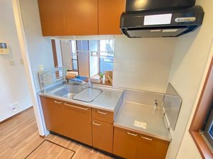 ＳＵＮ　ＨＥＩＧＨＴＳ　Ⅰ 102号-14