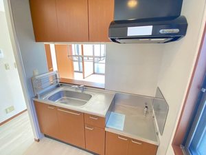 ＳＵＮ　ＨＥＩＧＨＴＳ　Ⅰ 202号-8