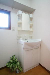 ラズベリー 201号-9