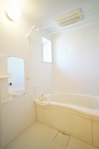 Ｓｕｎ　Ｖａｌｅ 102号-10