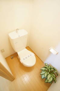 ラッシー　パル　Ａ 101号-11