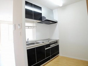 エコール・ド・ドルフ　Ⅲ 203号-6