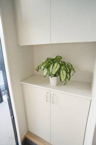 パーシモンＫ　Ⅳ 105号-10