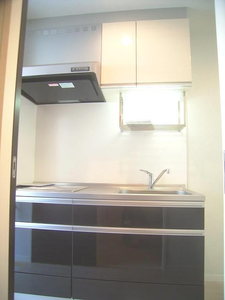 パーシモンＫ　Ⅳ 205号-5