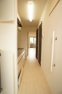 ハナミズキ 203号-4