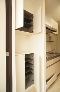 ハナミズキ 203号-10