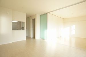 ルネサンス　Ｂ 201号-2