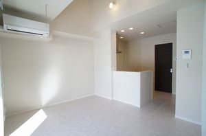 GRACE 203号-3
