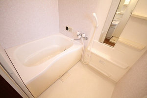 ブランシールライト 202号-8