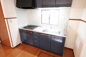 ルピナスかじがや　Ｂ 101号-10