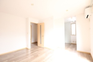 ロジュマン・カネコ 201号-3