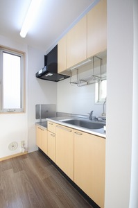 ロジュマン・カネコ 201号-4