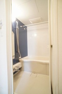 ファソル 101号-8