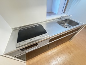 ブライトンハウス 203号-5