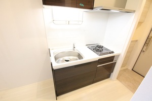 Ｒａｆｆｉｎｅ　Ｂ 202号-2