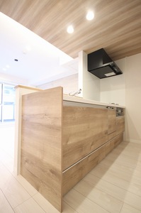 セリシール 205号-4